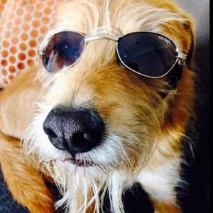 Meet your Posher, Lorie